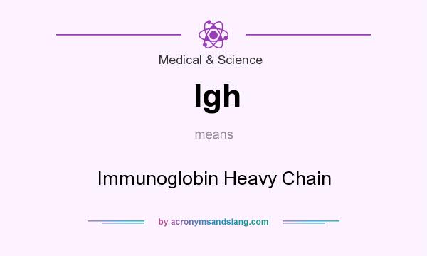 What does Igh mean? It stands for Immunoglobin Heavy Chain
