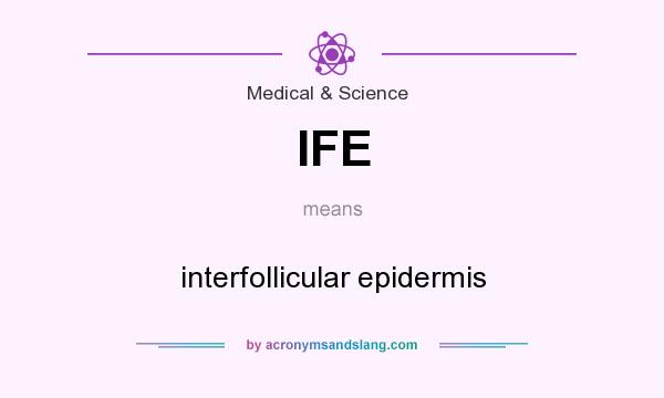 What does IFE mean? It stands for interfollicular epidermis