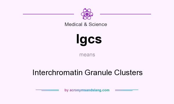 What does Igcs mean? It stands for Interchromatin Granule Clusters