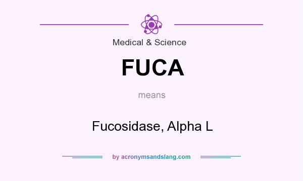 What does FUCA mean? It stands for Fucosidase, Alpha L