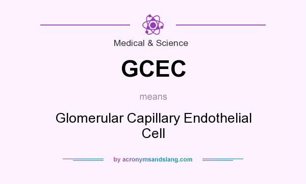 What does GCEC mean? It stands for Glomerular Capillary Endothelial Cell