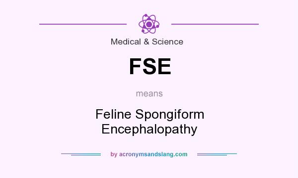 What does FSE mean? It stands for Feline Spongiform Encephalopathy