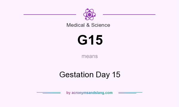 What does G15 mean? It stands for Gestation Day 15