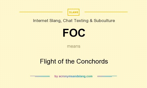 What does FOC mean? It stands for Flight of the Conchords