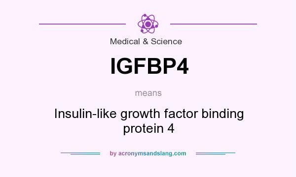 What does IGFBP4 mean? It stands for Insulin-like growth factor binding protein 4