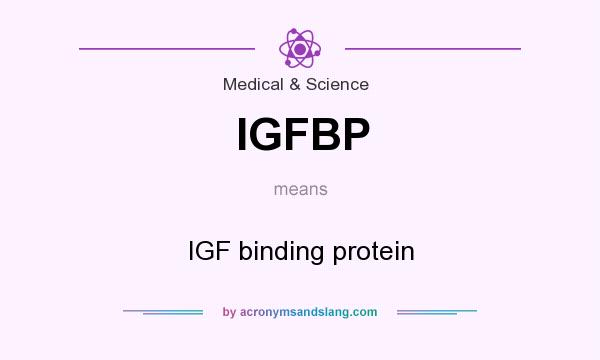 What does IGFBP mean? It stands for IGF binding protein