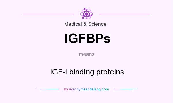 What does IGFBPs mean? It stands for IGF-I binding proteins