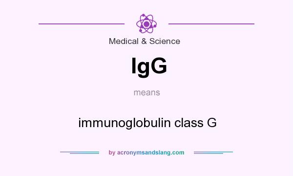 What does IgG mean? It stands for immunoglobulin class G
