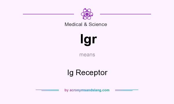 What does Igr mean? It stands for Ig Receptor