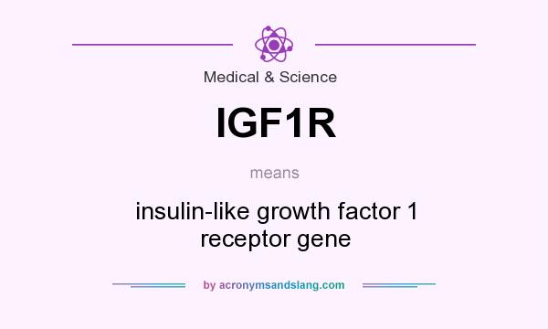 What does IGF1R mean? It stands for insulin-like growth factor 1 receptor gene