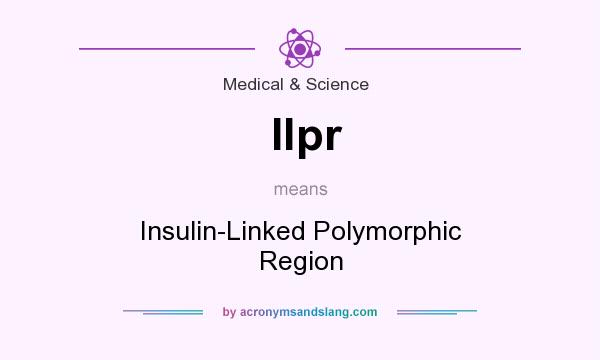 What does Ilpr mean? It stands for Insulin-Linked Polymorphic Region