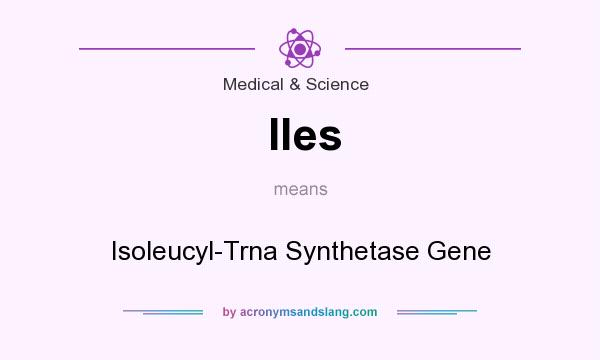 What does Iles mean? It stands for Isoleucyl-Trna Synthetase Gene
