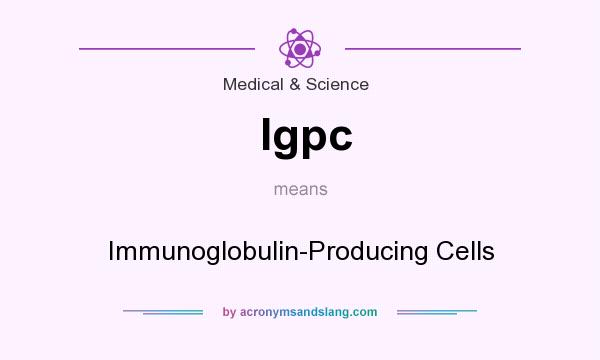What does Igpc mean? It stands for Immunoglobulin-Producing Cells