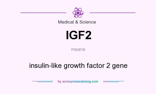 What does IGF2 mean? It stands for insulin-like growth factor 2 gene
