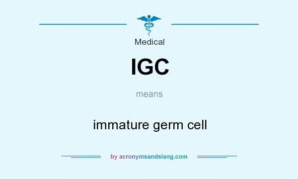 What does IGC mean? It stands for immature germ cell