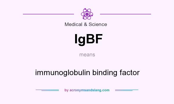 What does IgBF mean? It stands for immunoglobulin binding factor