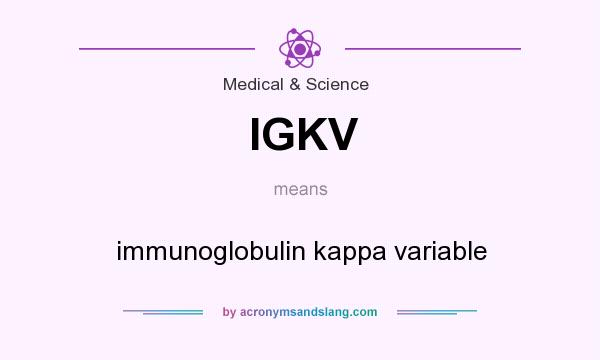 What does IGKV mean? It stands for immunoglobulin kappa variable