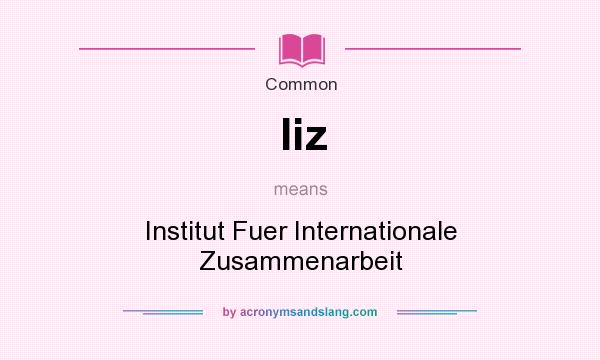 What does Iiz mean? It stands for Institut Fuer Internationale Zusammenarbeit
