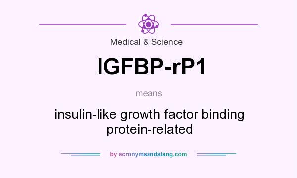 What does IGFBP-rP1 mean? It stands for insulin-like growth factor binding protein-related
