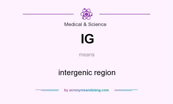 What does IG mean? It stands for intergenic region