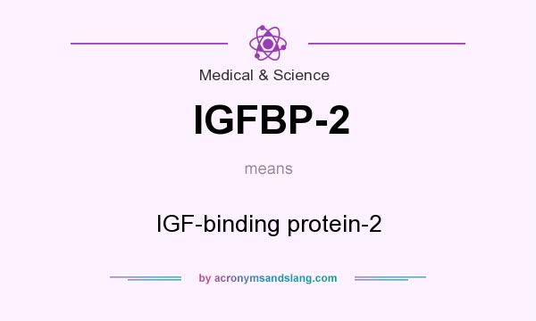 What does IGFBP-2 mean? It stands for IGF-binding protein-2