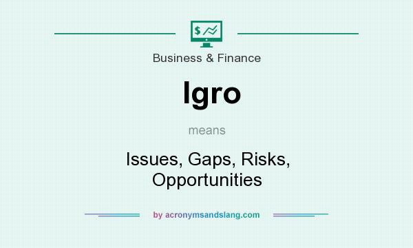 What does Igro mean? It stands for Issues, Gaps, Risks, Opportunities