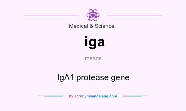 What does iga mean? It stands for IgA1 protease gene
