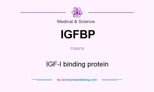 What does IGFBP mean? It stands for IGF-I binding protein