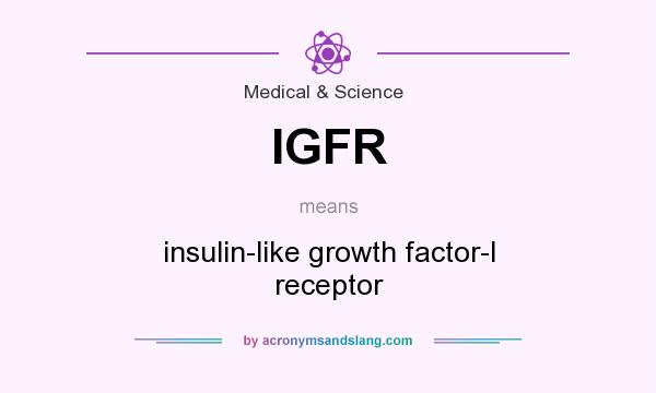 What does IGFR mean? It stands for insulin-like growth factor-I receptor
