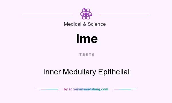 What does Ime mean? It stands for Inner Medullary Epithelial