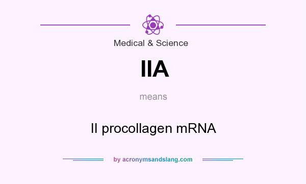What does IIA mean? It stands for II procollagen mRNA