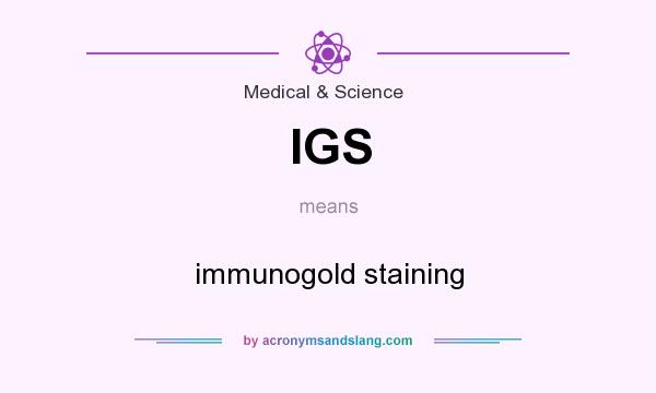 What does IGS mean? It stands for immunogold staining