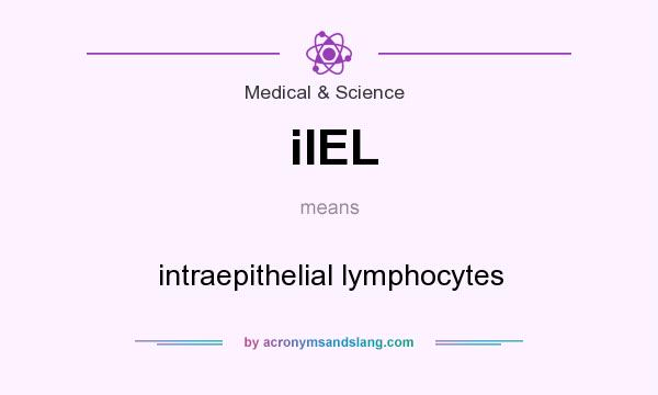 What does iIEL mean? It stands for intraepithelial lymphocytes