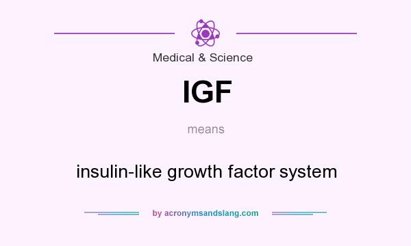 What does IGF mean? It stands for insulin-like growth factor system