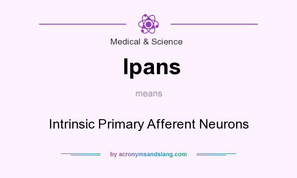What does Ipans mean? It stands for Intrinsic Primary Afferent Neurons