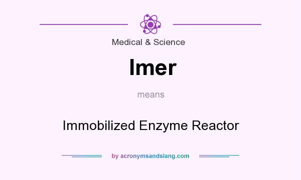 What does Imer mean? It stands for Immobilized Enzyme Reactor