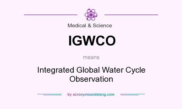 What does IGWCO mean? It stands for Integrated Global Water Cycle Observation