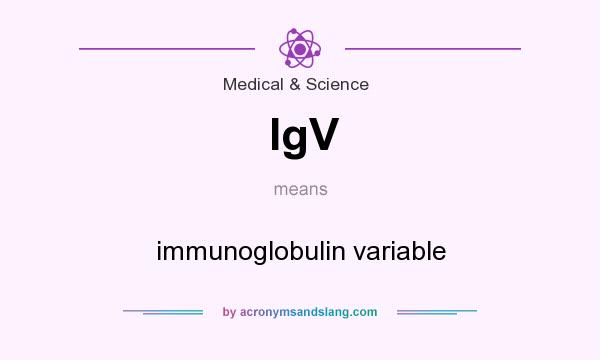 What does IgV mean? It stands for immunoglobulin variable