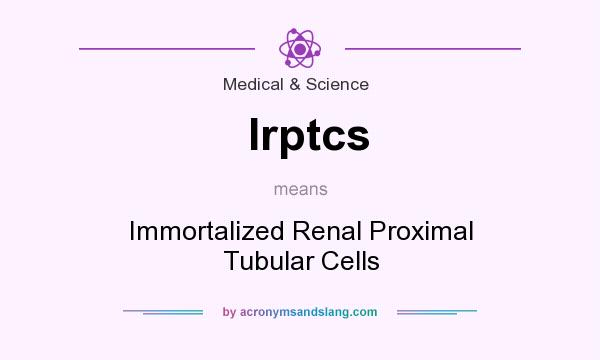 What does Irptcs mean? It stands for Immortalized Renal Proximal Tubular Cells