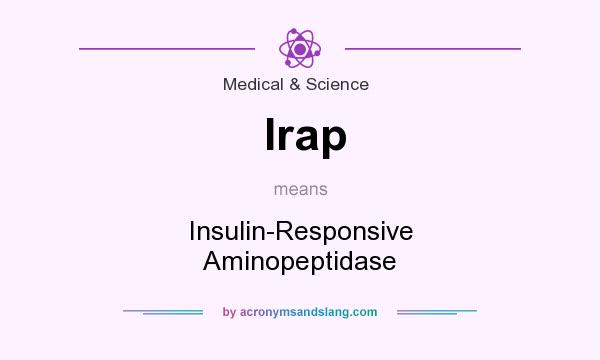 What does Irap mean? It stands for Insulin-Responsive Aminopeptidase