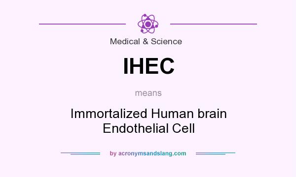 What does IHEC mean? It stands for Immortalized Human brain Endothelial Cell