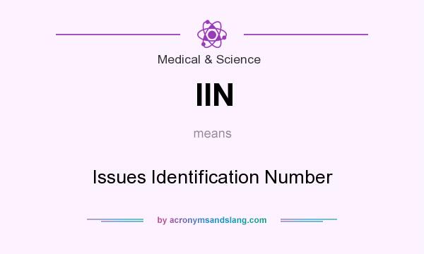 What does IIN mean? It stands for Issues Identification Number