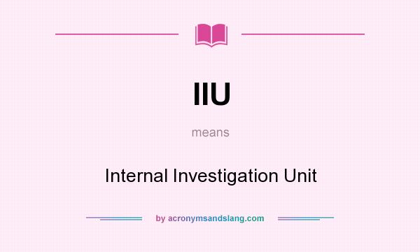 What does IIU mean? It stands for Internal Investigation Unit