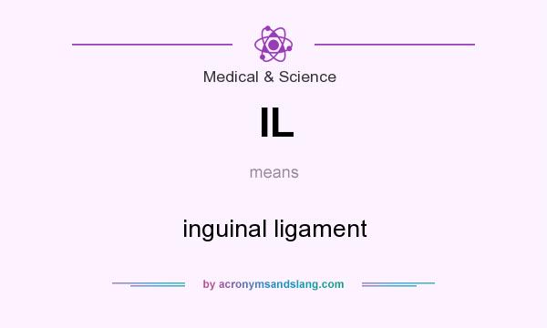 What does IL mean? It stands for inguinal ligament