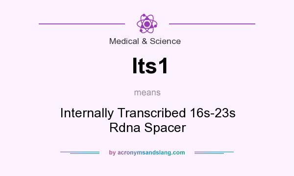 What does Its1 mean? It stands for Internally Transcribed 16s-23s Rdna Spacer