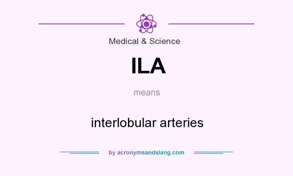 What does ILA mean? It stands for interlobular arteries
