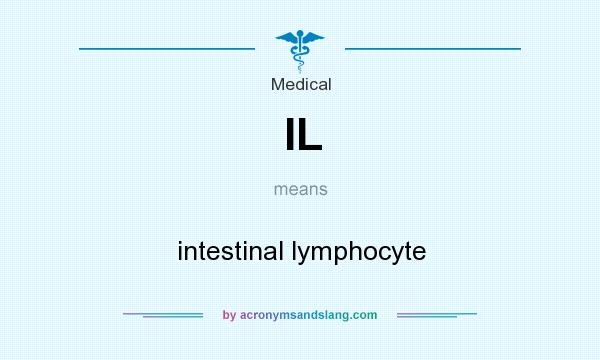 What does IL mean? It stands for intestinal lymphocyte