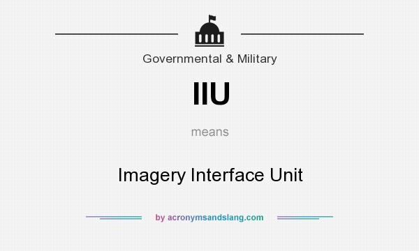 What does IIU mean? It stands for Imagery Interface Unit