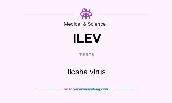What does ILEV mean? It stands for Ilesha virus