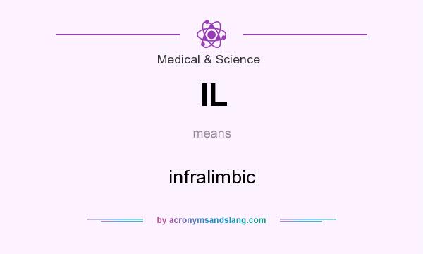 What does IL mean? It stands for infralimbic